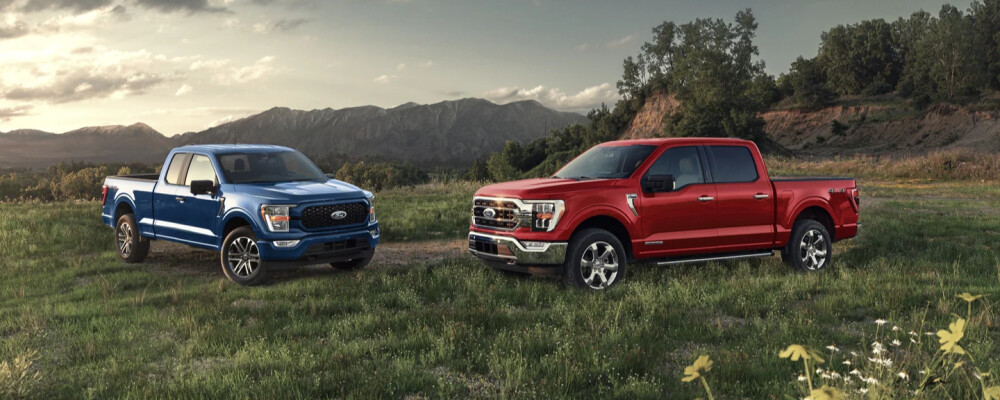 Two Ford trucks, one blue and one red, parked on a grassy field with mountains in the background under a partly cloudy sky. A serene, rugged outdoor setting.