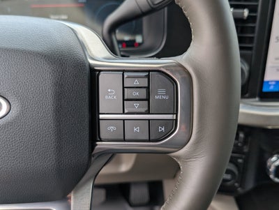 2025 Ford Super Duty F-250 SRW Platinum