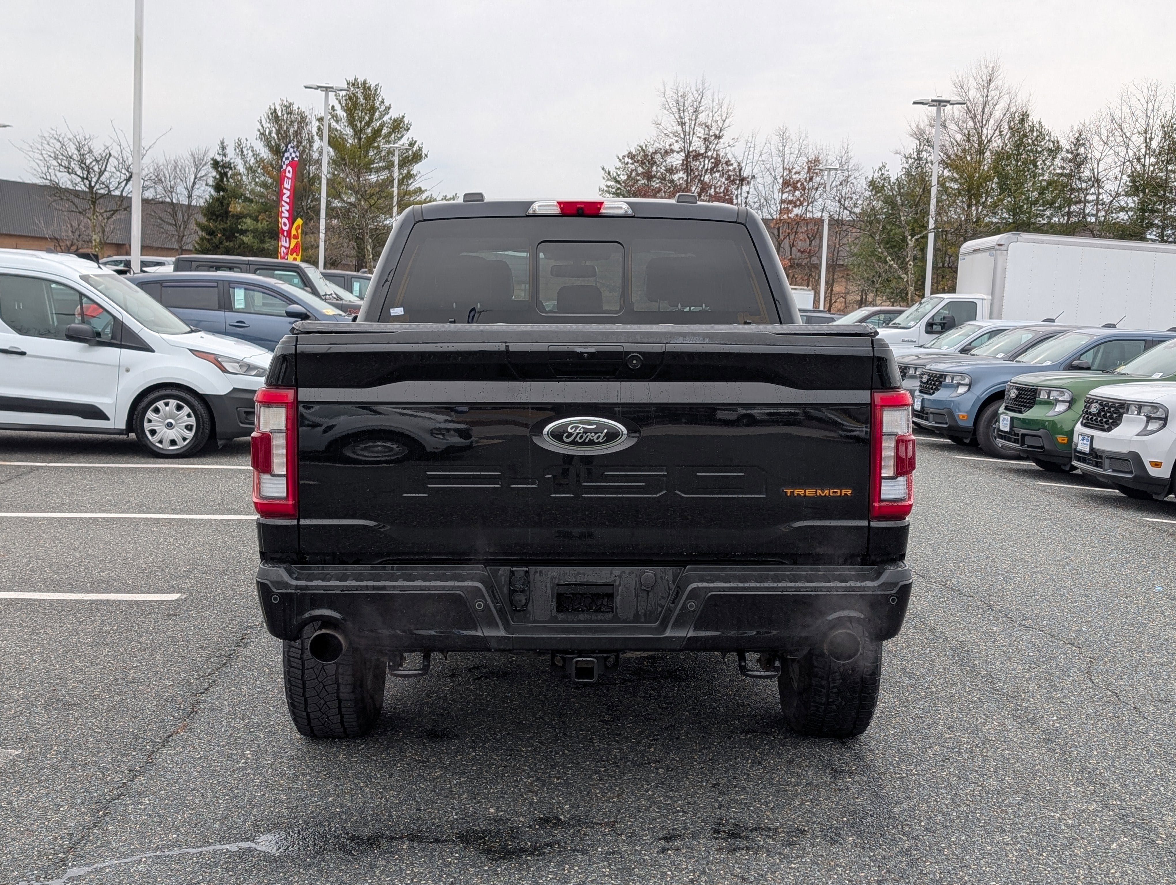 2021 Ford F-150 Tremor
