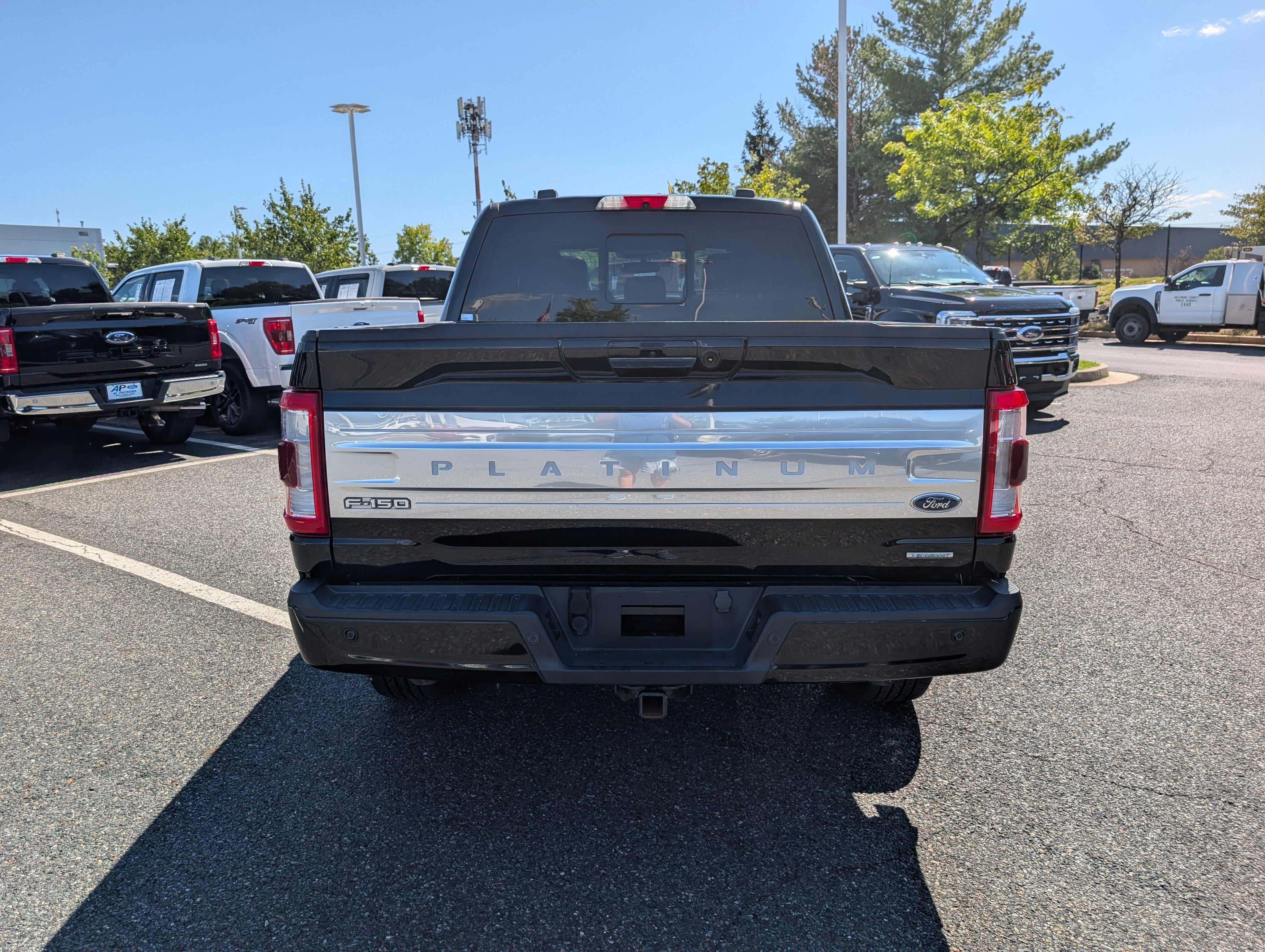 2021 Ford F-150 Platinum