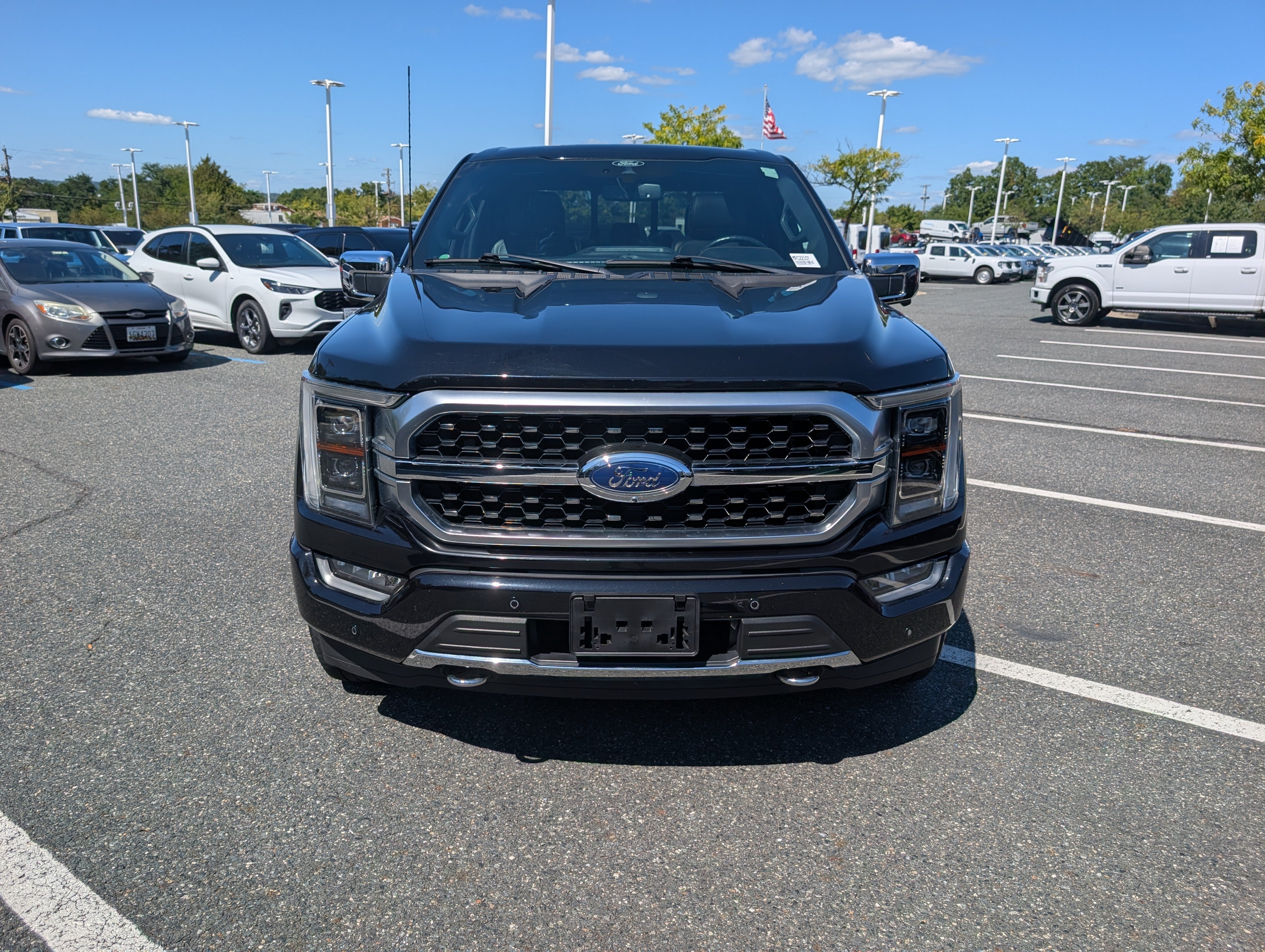 2021 Ford F-150 Platinum