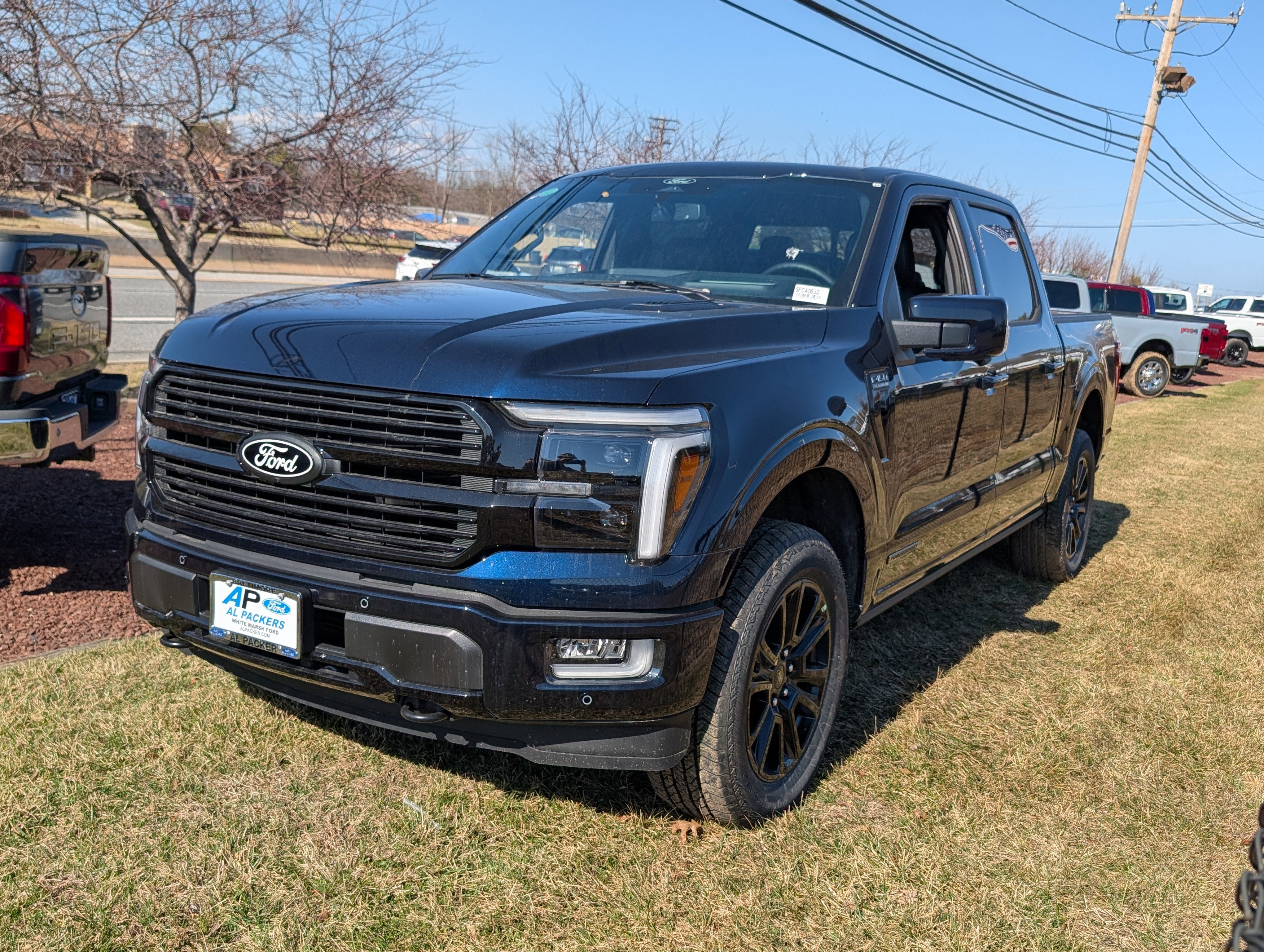 2025 Ford F-150 Platinum