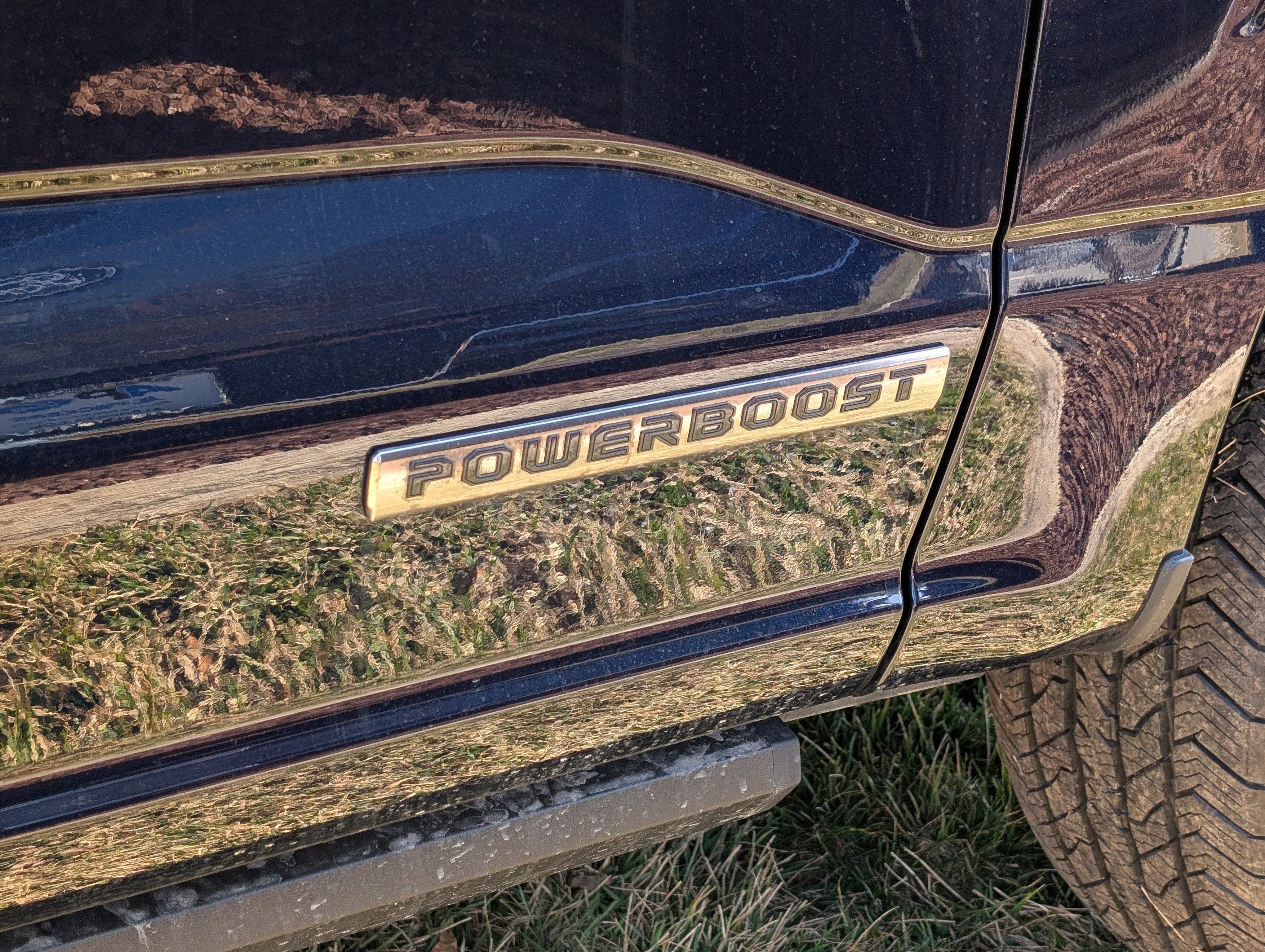 2025 Ford F-150 Platinum