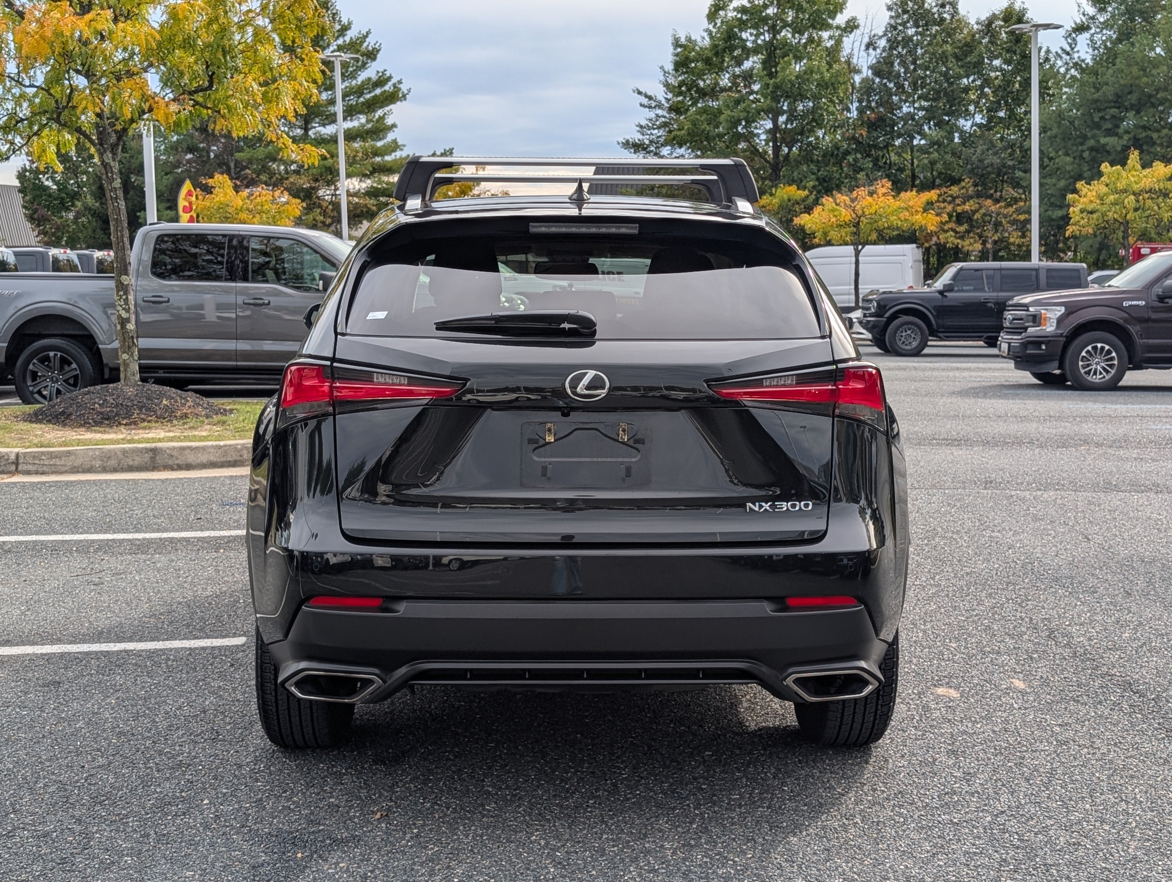 2021 Lexus NX 300