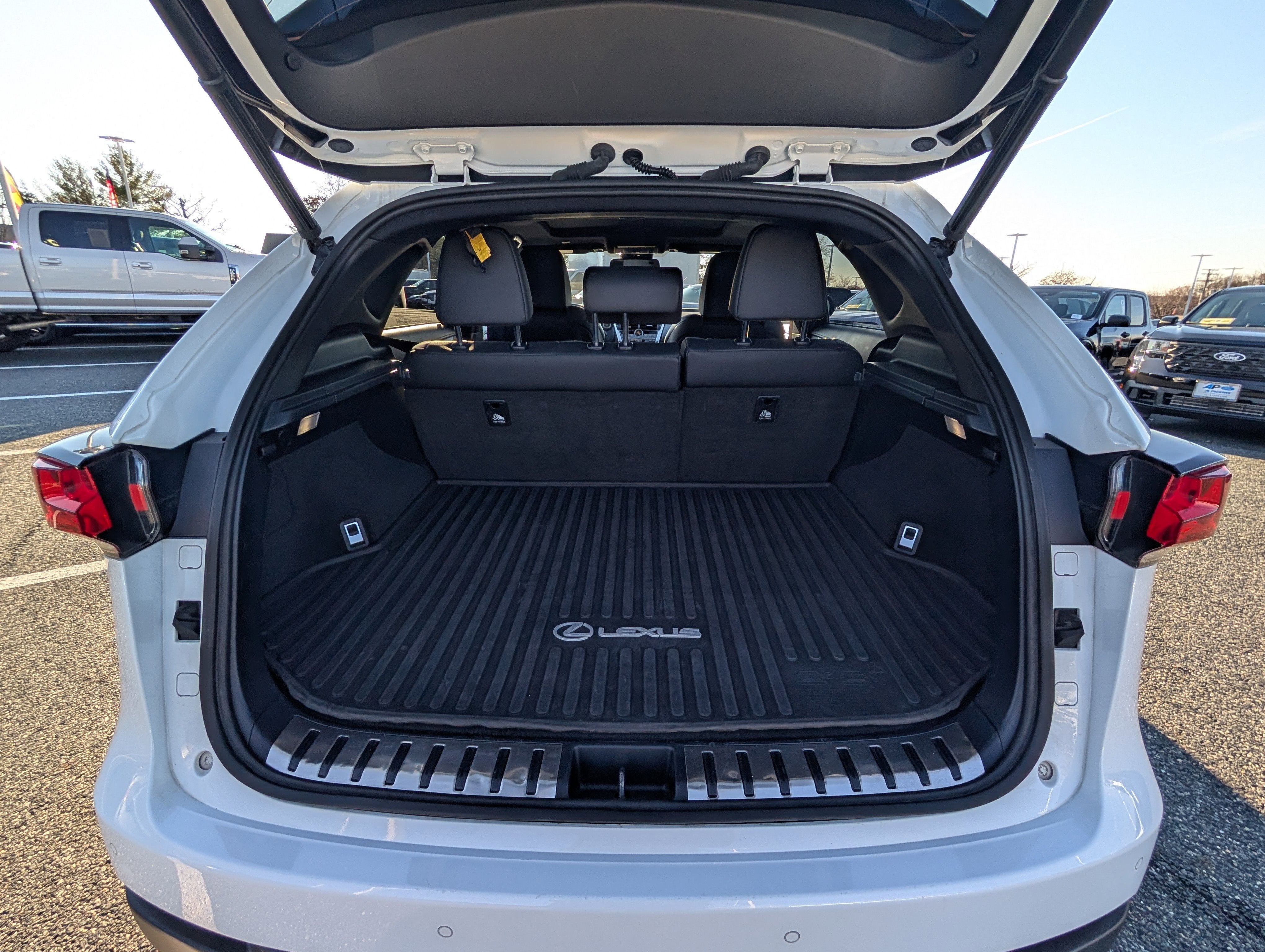 2021 Lexus NX 300 F SPORT