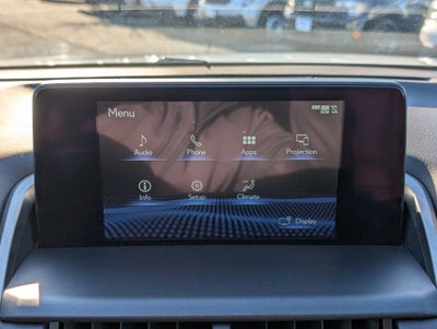 2021 Lexus NX 300 F SPORT