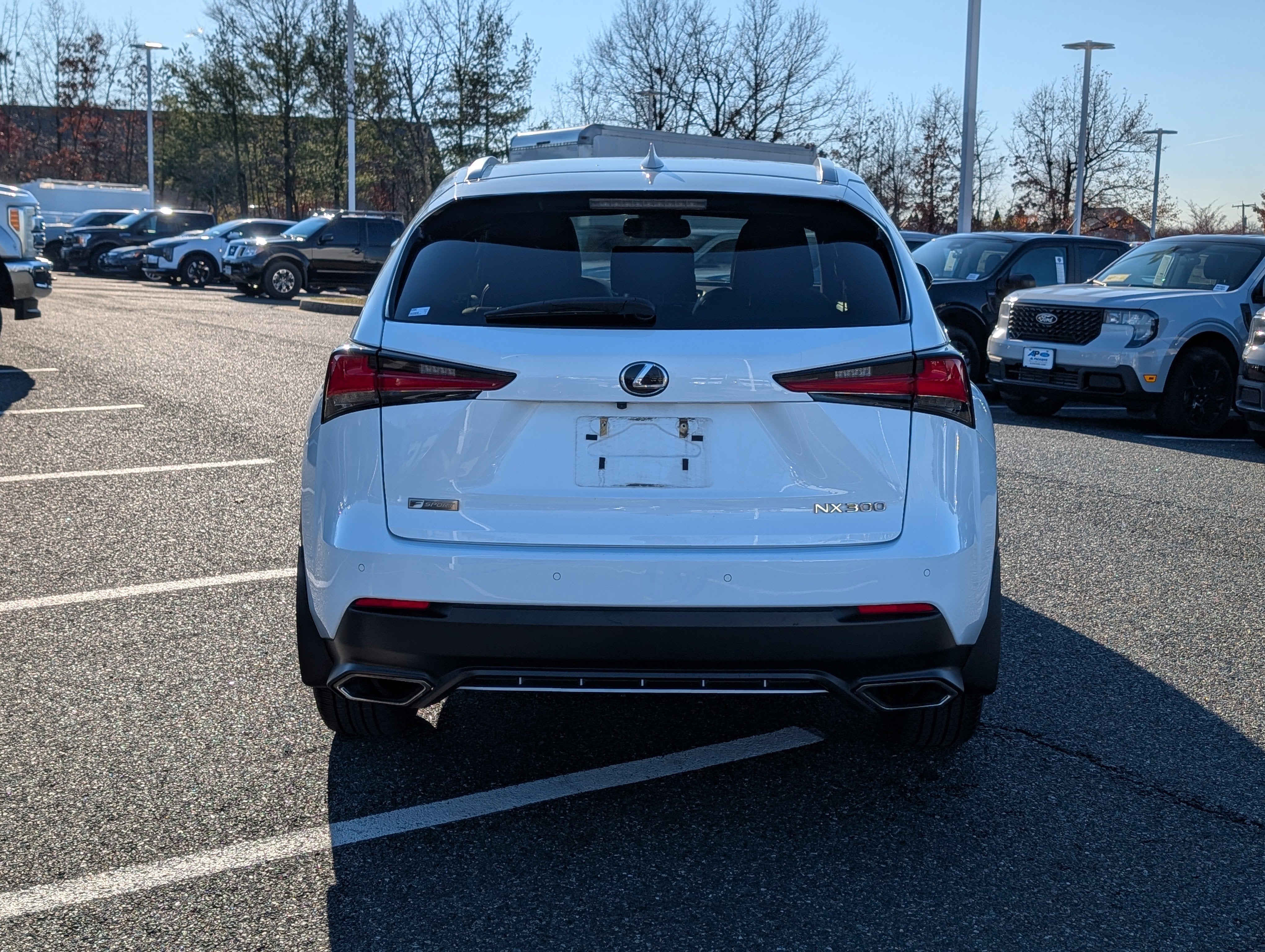 2021 Lexus NX 300 F SPORT
