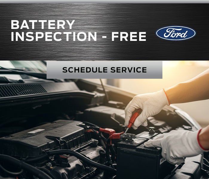 Free Battery Inspection