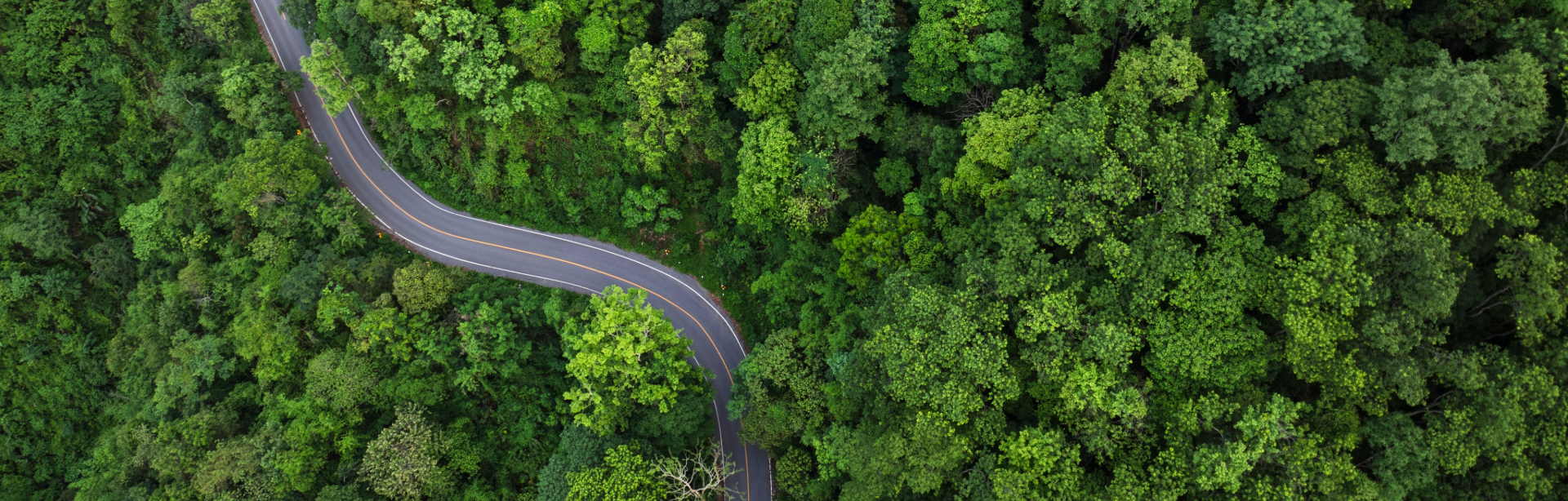 Ford EV Environmental Benefits Guide