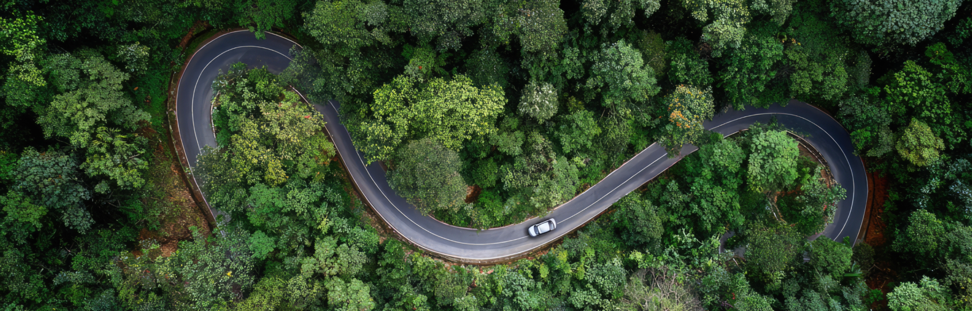 Ford EV Environmental Benefits Guide