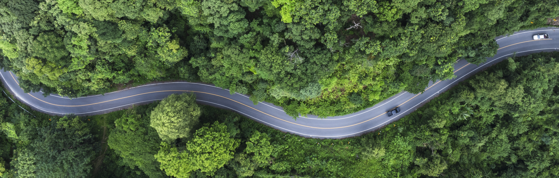 Ford EV Environmental Benefits Guide